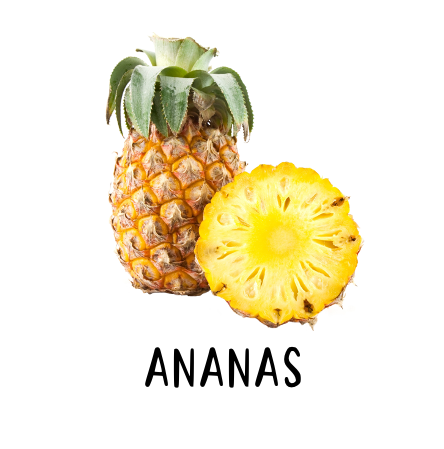 Piktogram Brik - Ananas Pædagogisk Legetøj