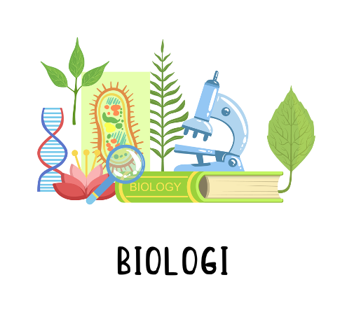 Piktogram Brik - Biologi Pædagogisk Legetøj