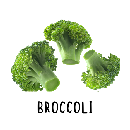 Piktogram Brik - Broccoli Pædagogisk Legetøj