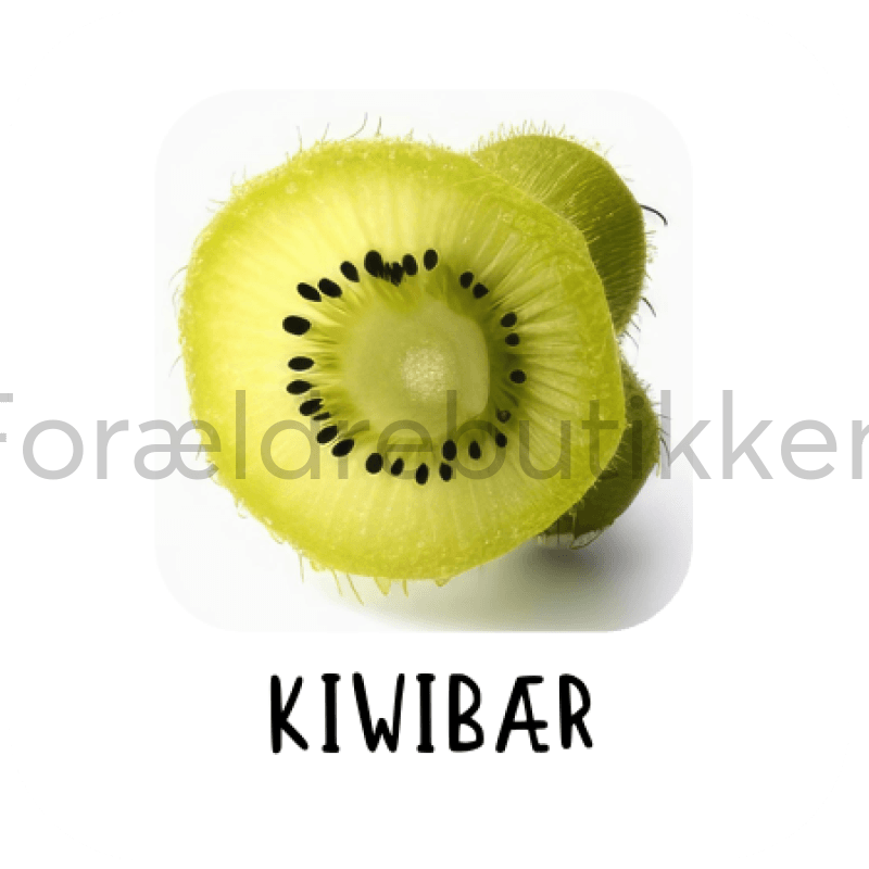 Piktogram Brik - Kiwibær Pædagogisk Legetøj